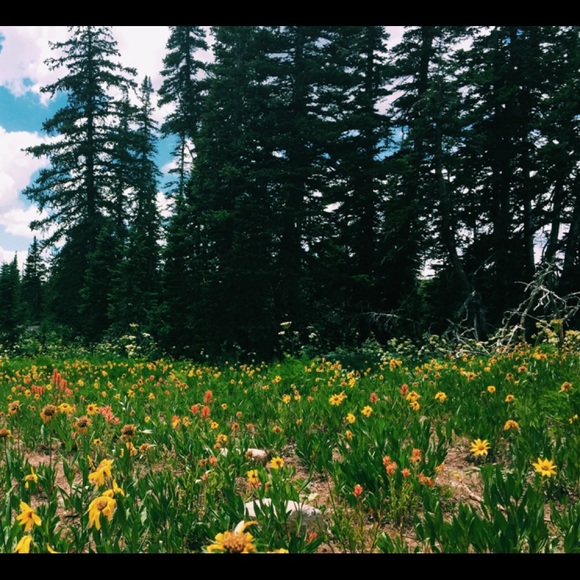 hello love π¦ - Picture 6 of 8